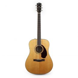 Fender PM 1 Standard Dreadnought Natural
